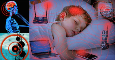 Why Electromagnetic Frequencies (EMFs) Can Disrupt Your Health